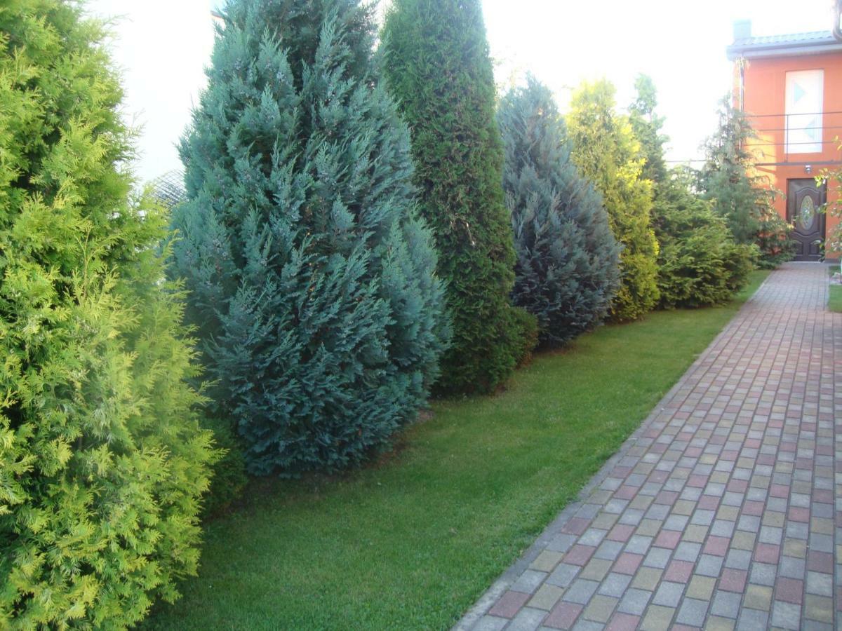 Zelta Pirts Guest House Βέντσπιλς Εξωτερικό φωτογραφία